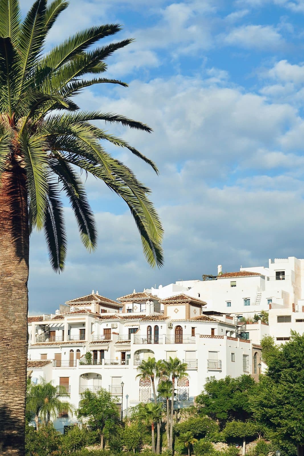 Witte huizen en een palmboom aan de Spaanse kust